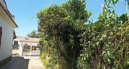 Design Villa, Eco,pool, Fruit Garden Close to sea