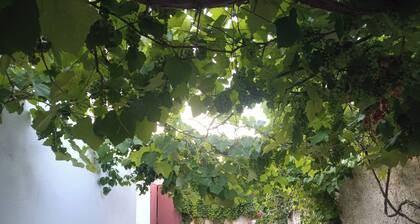 Design Villa, Eco,pool, Fruit Garden Close to sea