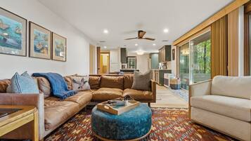 Smart TV, fireplace, books