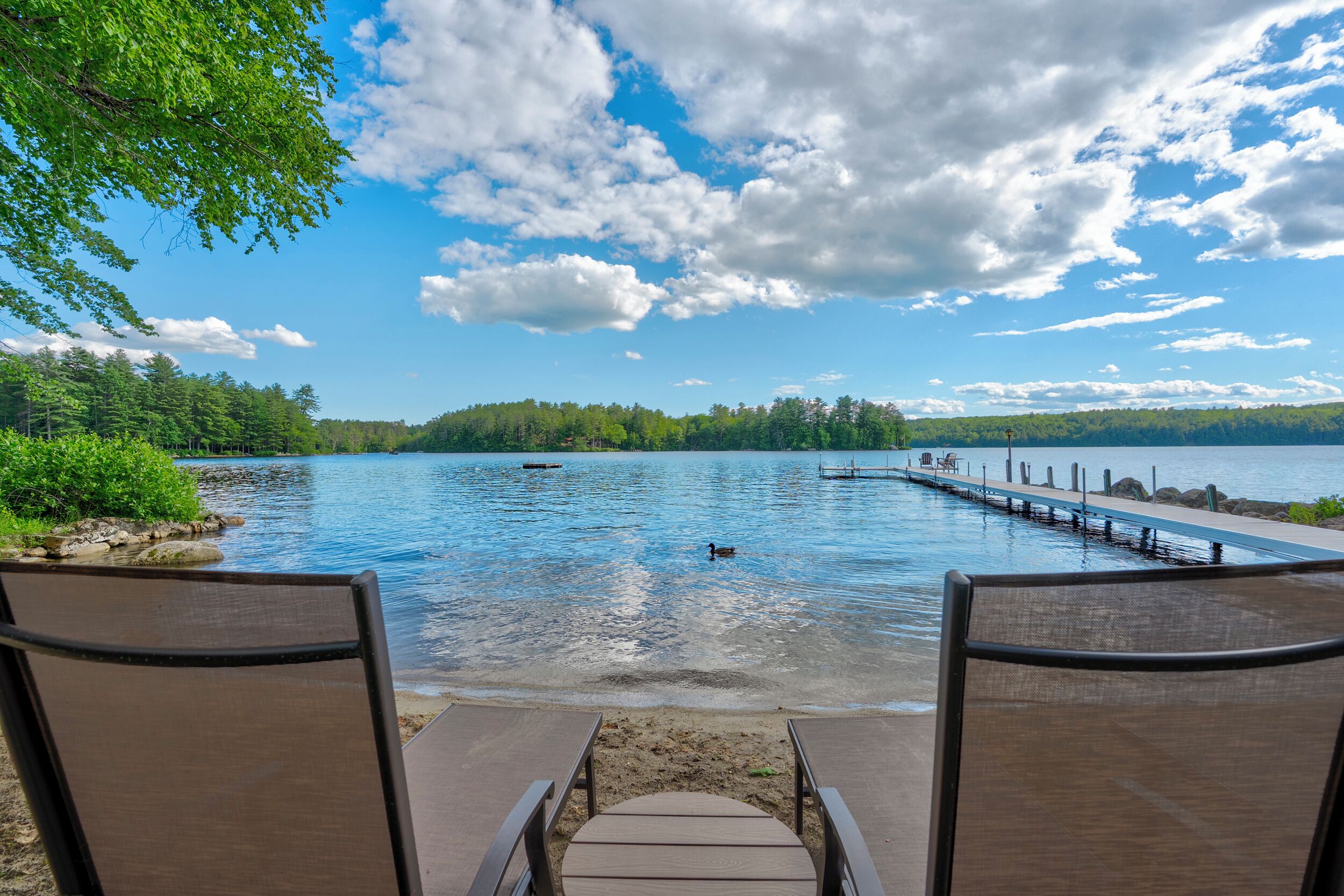A lakeside view with a dock extending into the water, surrounded by greenery and a clear sky.