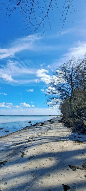 En strand med klare himmel, sandet bredde og en sti kantet af træer.