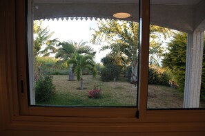 Ein Fenster mit Blick auf einen Garten mit Palmen und Sträuchern.