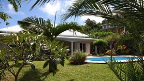 Ein Haus mit Swimmingpool, umgeben von üppiger Vegetation und Palmen.