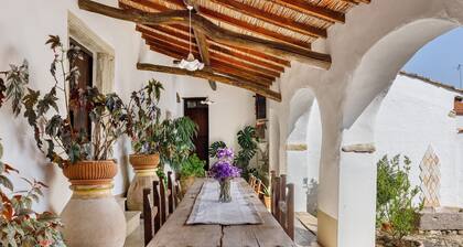 Casa Musa Valdes: entire house-museum in the heart of Marmilla