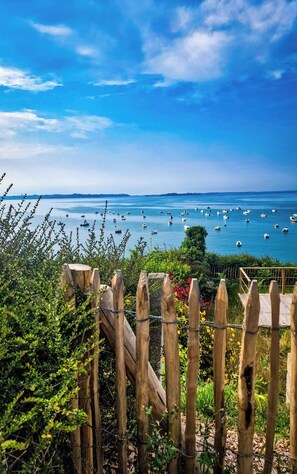 Blick auf die Küste mit Holzzaun, viel Grün und Booten auf dem Wasser.