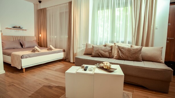 A modern living room with a bed, sofa, and a coffee table. - Cozy studio free public parking, near to City Center, Main train and bus station (Skopje)
