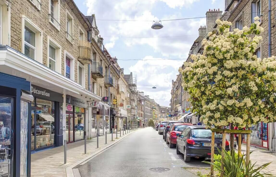 En gade med parkerede biler, butikker og et træ med hvide blomster.