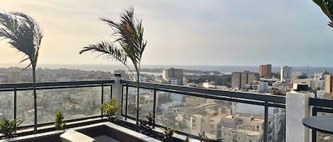 A rooftop terrace with a view of the cityscape, a seating area, and potted plants.