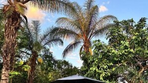 Deluxe Suite, 1 Katil Raja (King), Private Pool, Garden View | Kolam renang