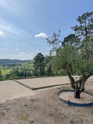 Ein Baum in einer Schotterfläche mit Blick auf eine hügelige Landschaft.