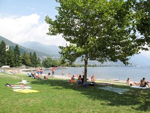 Ein Park am Seeufer, mit Menschen, die im Gras und am Wasser entspannen, ein großer Baum spendet Schatten, und im Hintergrund erhebt sich ein Berg.