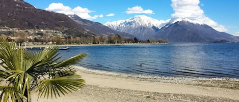 A lakeside view with mountains in the background, a sandy beach, and a palm tree in the foreground.