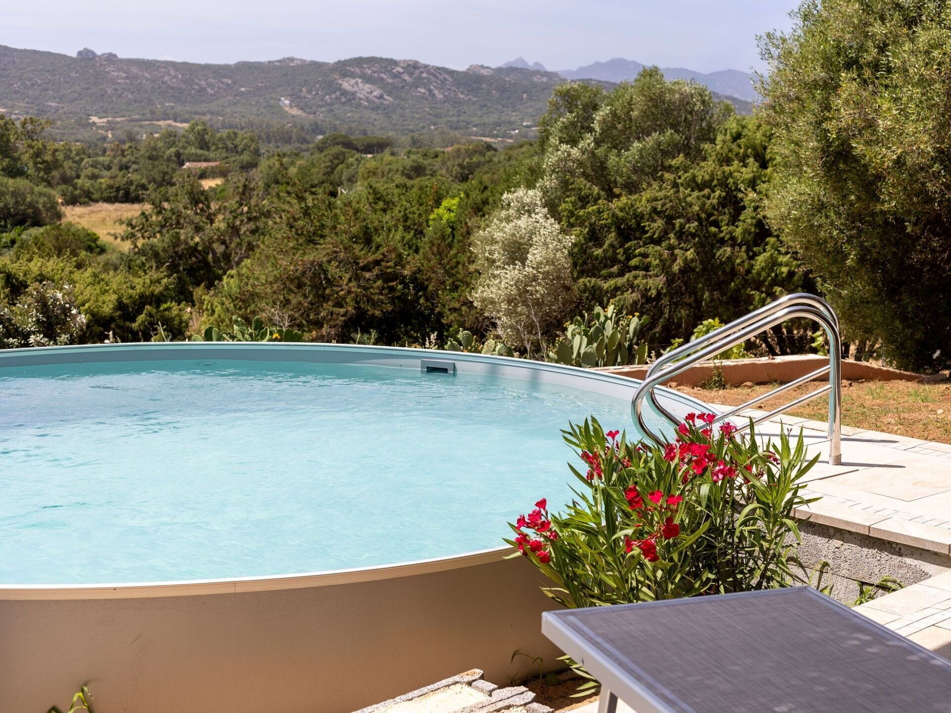 A swimming pool with a metal ladder, surrounded by a garden with red flowers, and a view of hills in the background.