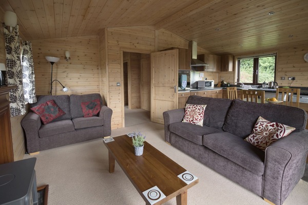 Living Space and Kitchen
