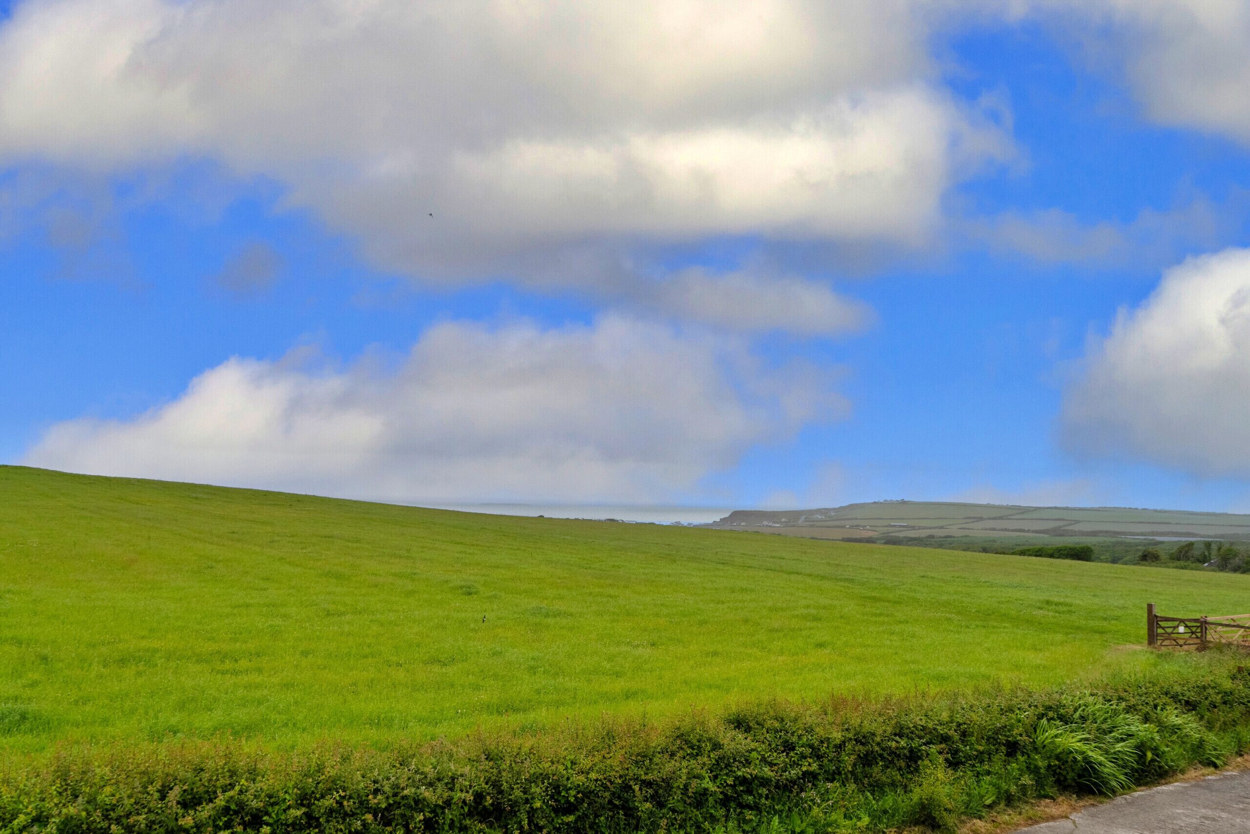 A grassy field with a wooden fence and a clear sky.