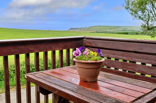 Squire, Quinceborough Farm