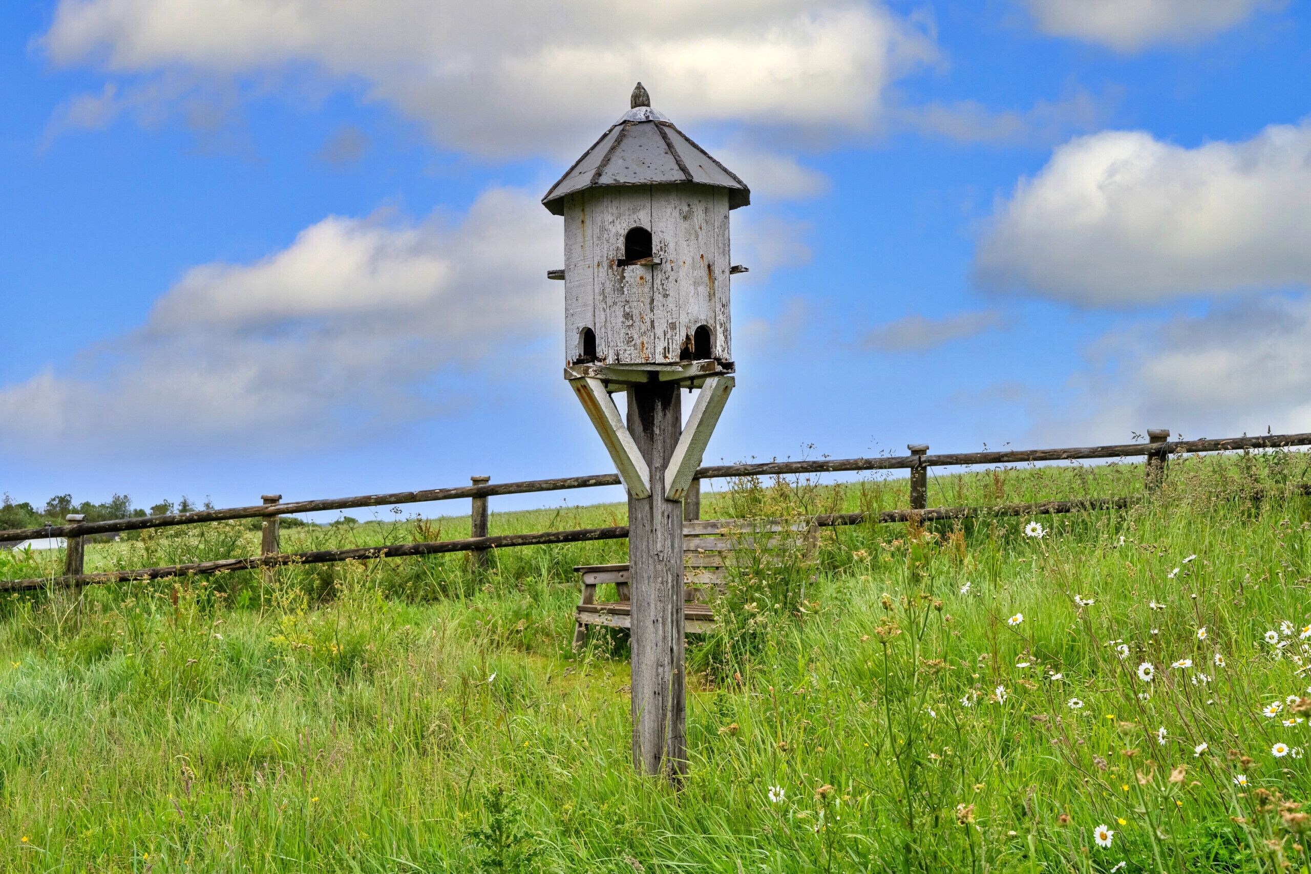 Een houten vogelhuisje op een paal in een grasveld, met een houten omheining op de achtergrond.