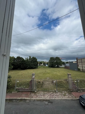 Blick durch ein Fenster auf eine Wiese mit Bäumen, eine Ziegelmauer und eine gepflasterte Straße.