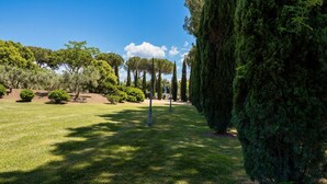 A well-maintained garden with a variety of trees and a clear sky. - GuestHost - Il Casale dei Gelsi - Biancospino (San Martino In Campo)