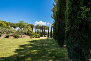 Ein gepflegter Garten mit verschiedenen Bäumen und blauem Himmel.