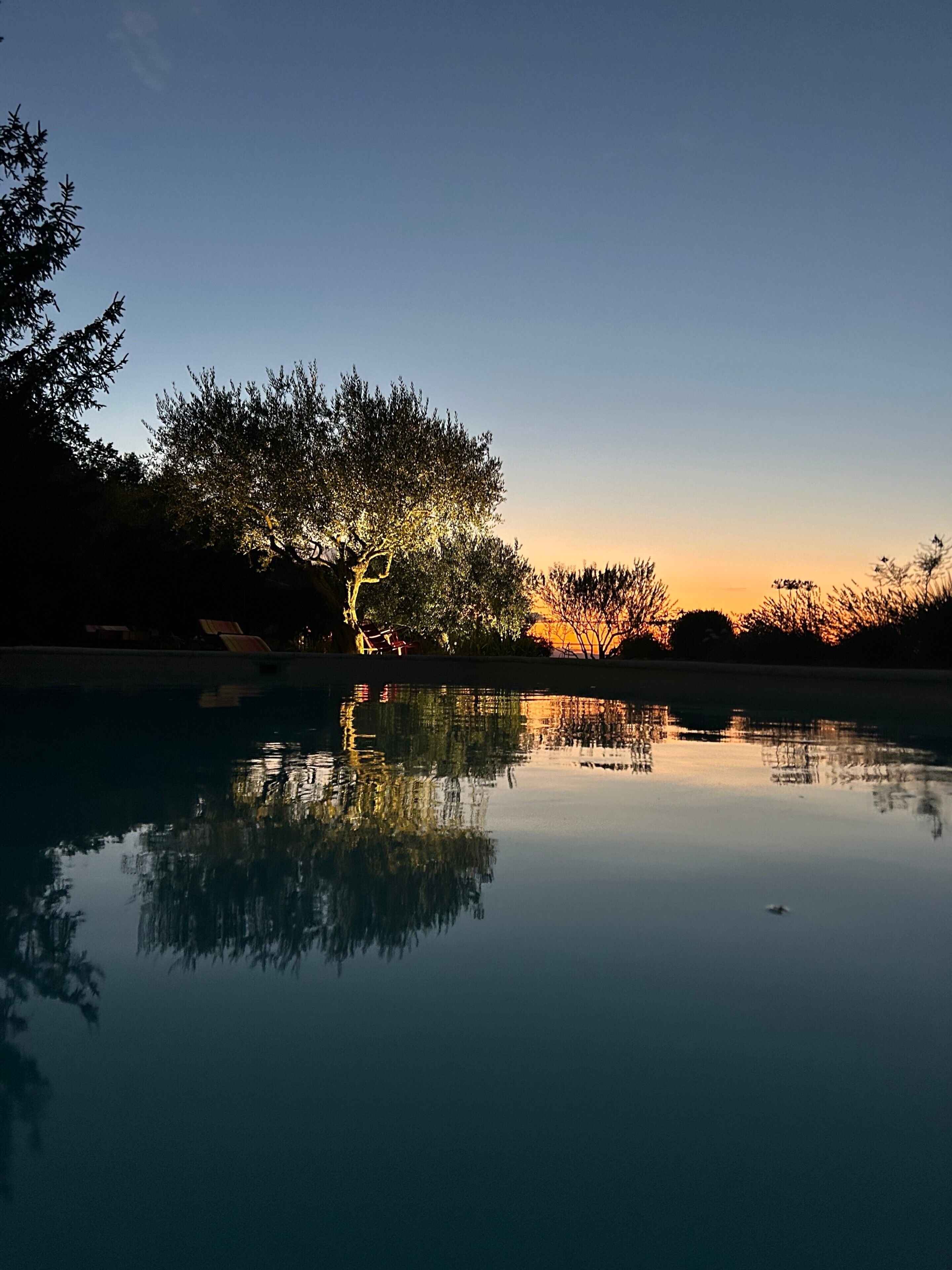 Un étang paisible où se reflètent les arbres et le coucher de soleil.