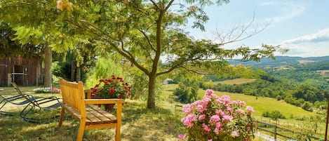 A wooden bench under a tree with a view of rolling hills.