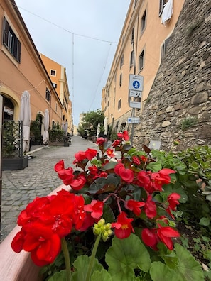 Una strada acciottolata fiancheggiata da edifici, un muro di pietra e fiori rossi in primo piano.