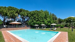 A rectangular swimming pool with a tiled border, surrounded by a grassy area and trees. - GuestHost - Il Casale dei Gelsi - Narciso (San Martino In Campo)