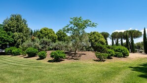 A well-maintained grassy area with various trees and shrubs, suggesting a landscaped outdoor space. - GuestHost - Il Casale dei Gelsi - Tulipano (San Martino In Campo)