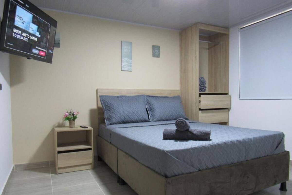 A bedroom with a bed, a TV mounted on the wall, a small bedside table with a plant, and a wardrobe.