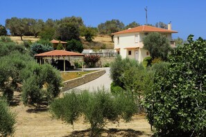 Ein Haus mit rotem Ziegeldach, einem Steinweg und umgebender Bepflanzung.