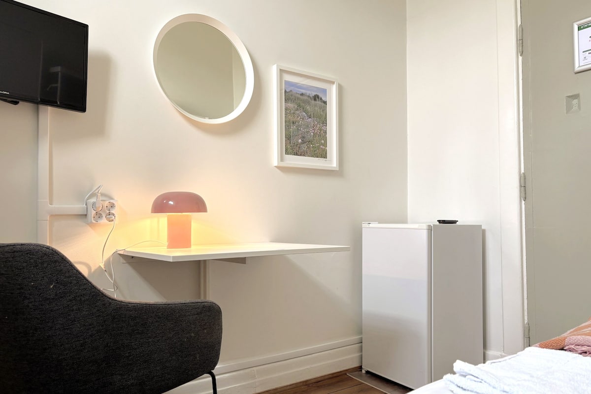 A room with a bed, a chair, a desk with a lamp, a mirror, a framed picture, a TV, and a refrigerator.
