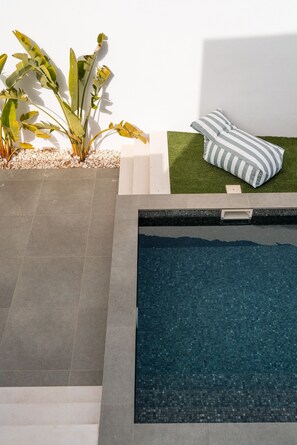 Ein Schwimmbecken mit bepflastertem Beckenrand, eine Rasenfläche mit gestreiftem Kissen und eine Pflanze mit breiten Blättern.