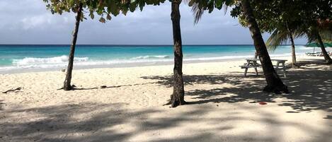 Une plage de sable blanc, bordée de palmiers, avec une vue sur l’océan.