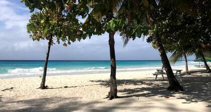 Wonderful 1-bedroom cottage with AC & within walking distance to Rockley Beach