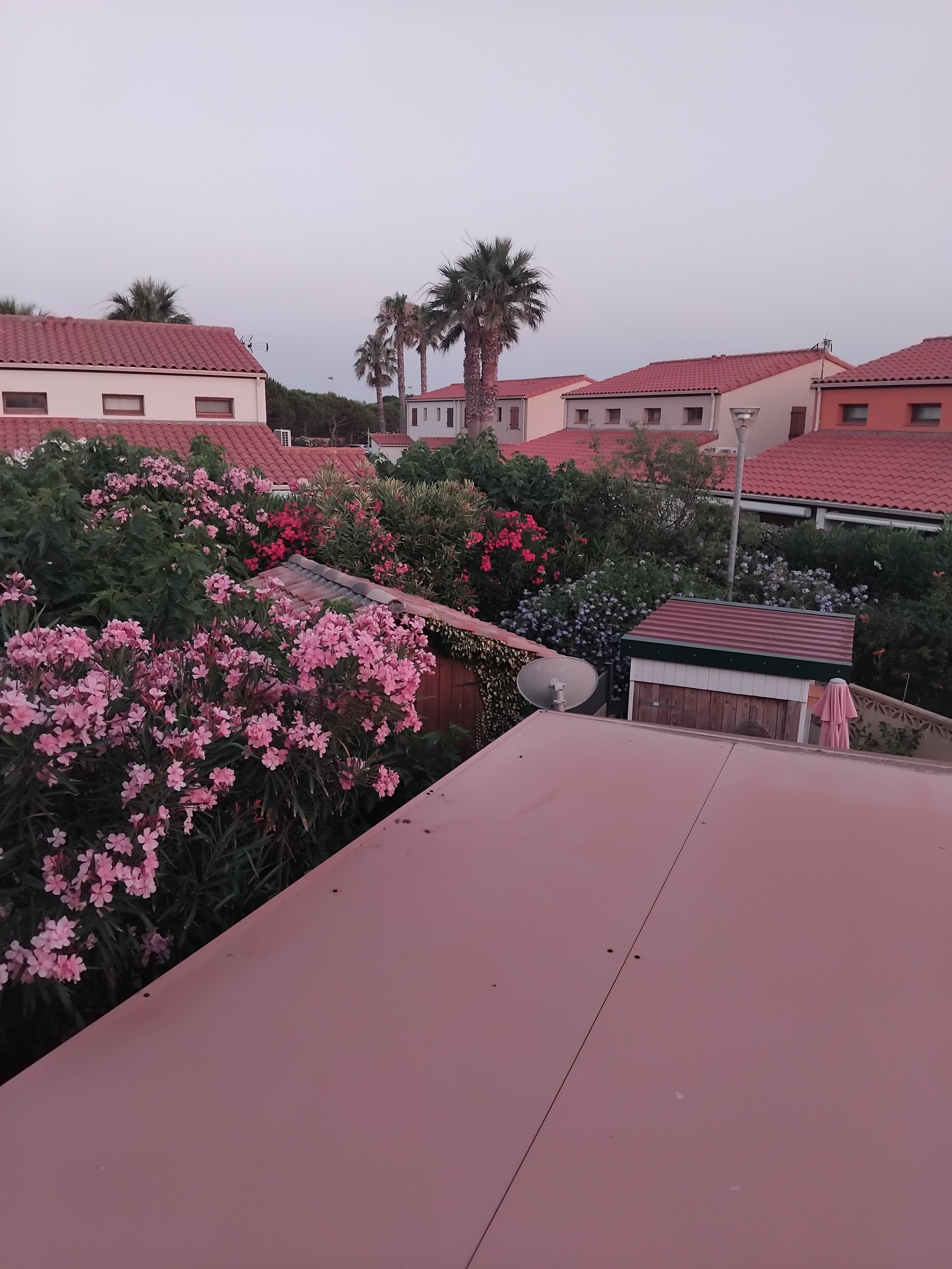 A residential area with red-tiled roofs, a satellite dish, and flowering plants.