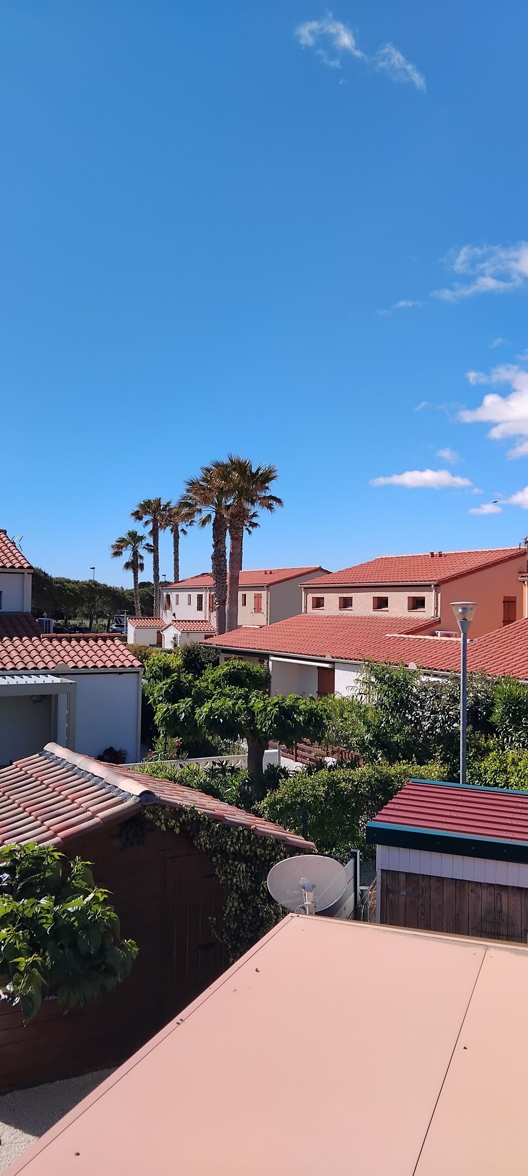 A residential area with red-tiled roofs, palm trees, and a clear blue sky.