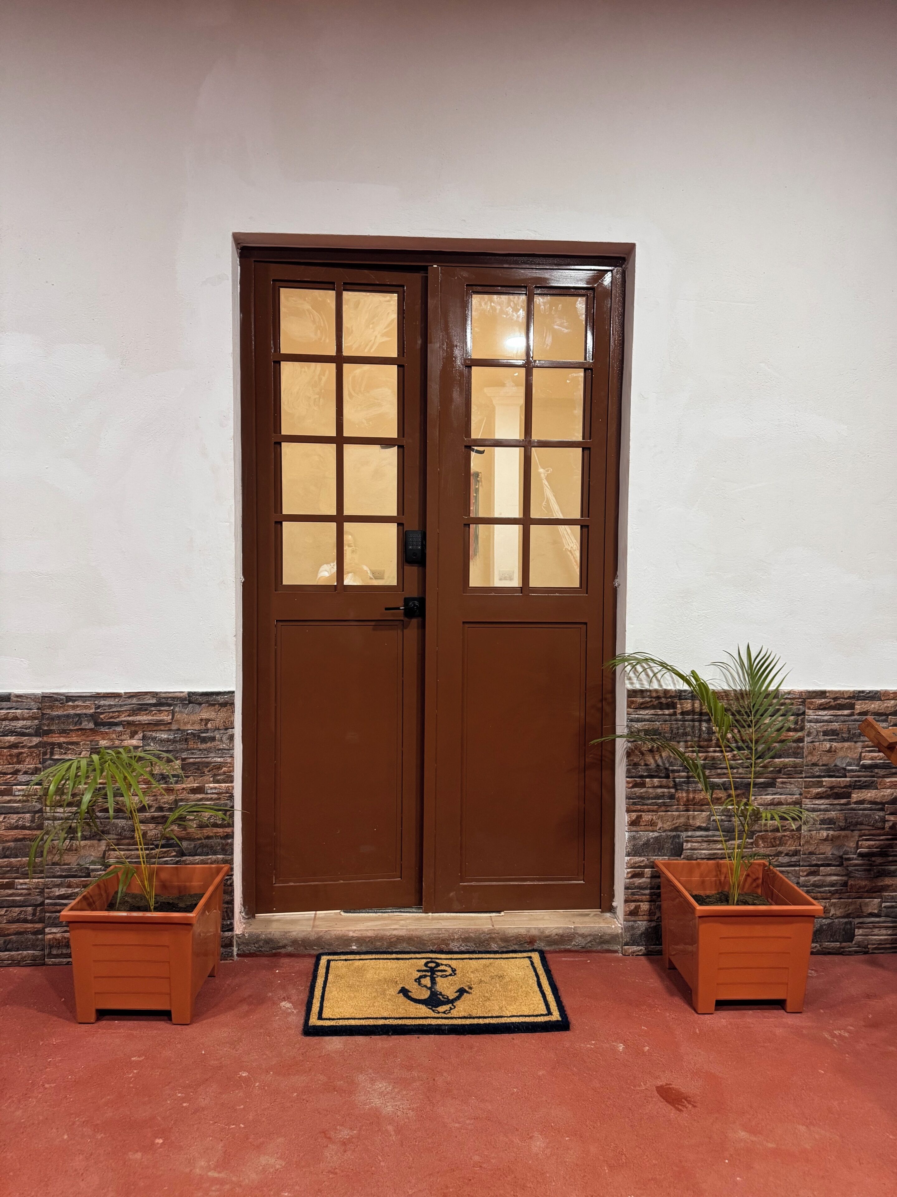 A brown double door with glass panels, flanked by two potted plants, against a white wall with a stone accent.