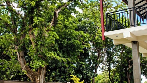 Un jardí ben cuidat amb un arbre gran, una zona d'estar a l'aire lliure coberta i un camí de pedra.