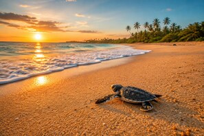 A turtle on a sandy beach with the ocean and palm trees in the background.