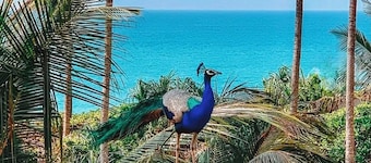 Araliya Villa- Luxury 3-Bedrooms, Private Pool & Sea Views. Breakfast Included.