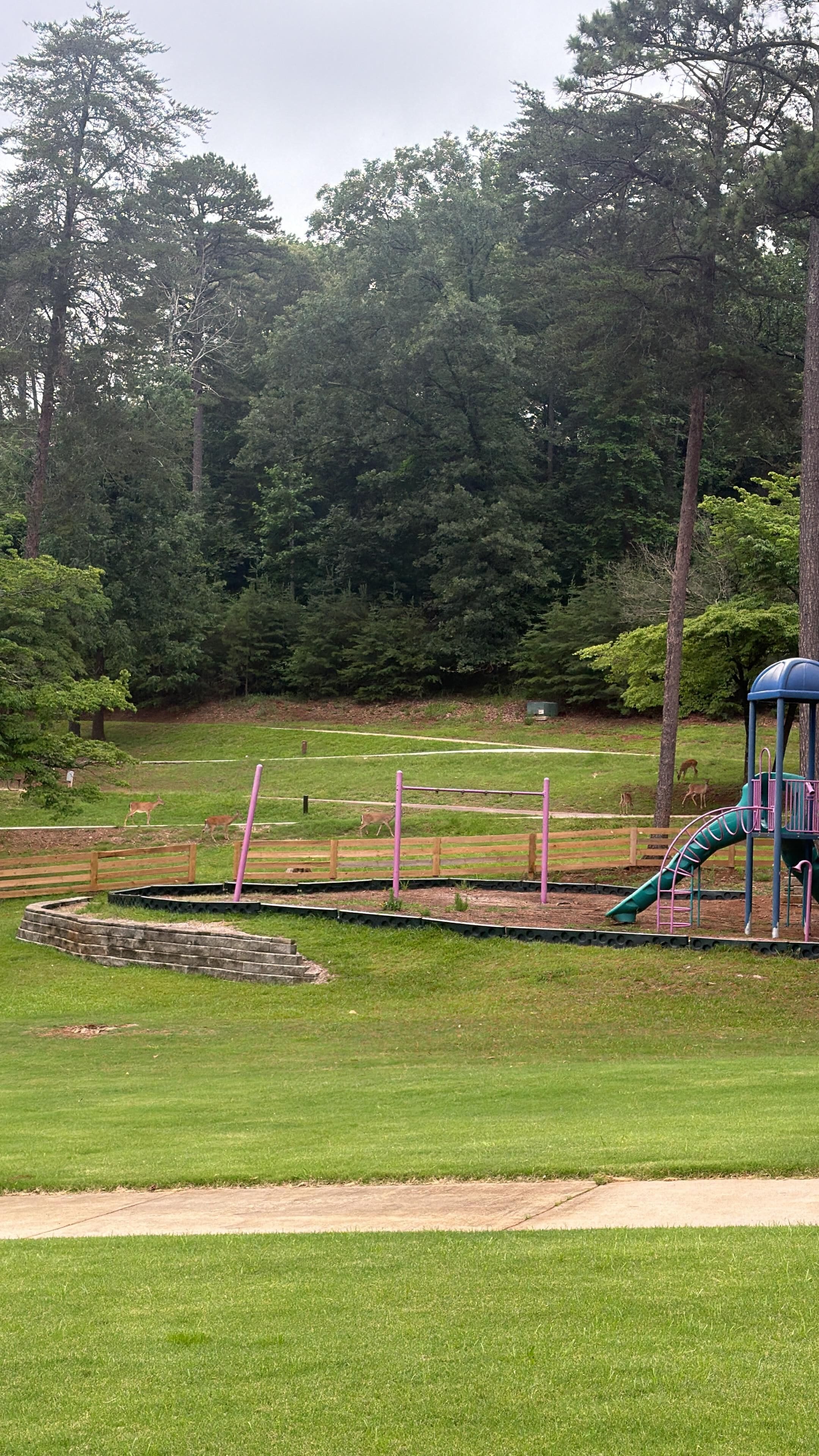 Children’s area