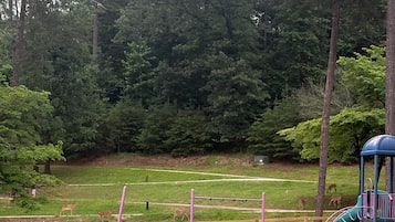 Children’s area