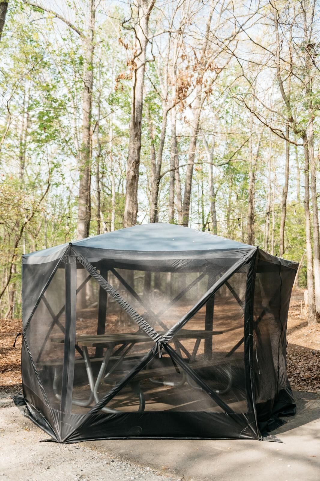 Una tenda con zanzariera installata in una zona boschiva.