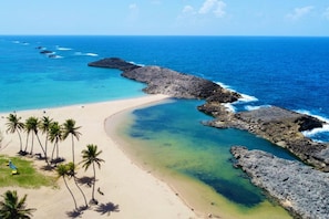 Una playa con aguas turquesas cristalinas, una orilla arenosa y palmeras.
