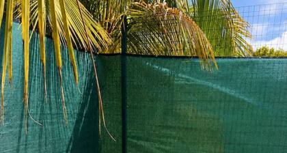 Villa Nelly beachfront Stay