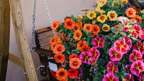 Una silla mecedora de madera con un letrero de neón que dice 'Casa Lita' y una maceta con flores de colores.
