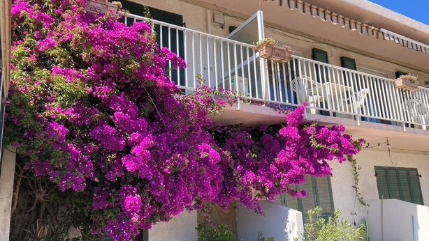 Un immeuble doté d’un balcon, d’une balustrade blanche et d’une fenêtre avec des volets verts.