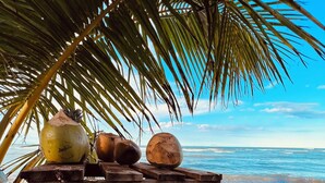 Une caisse en bois remplie de noix de coco, posée sur une plage.