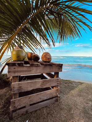 Eine Holzkiste mit Kokosnüssen am Strand.